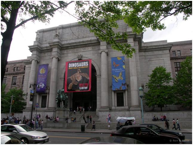 092 museum natural history